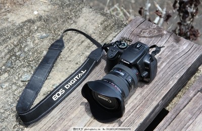 單反相機(jī) 開(kāi)啟專業(yè)攝影之門